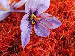 Saffron per gram 